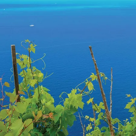 Awesome In Stankovic With Wifi