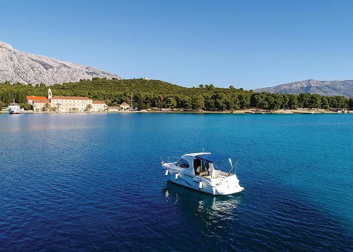 Awesome In Stankovic With Wifi *