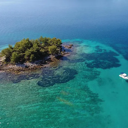 Lovely In Stankovic