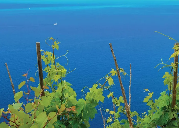 Awesome In Stankovic With Wifi