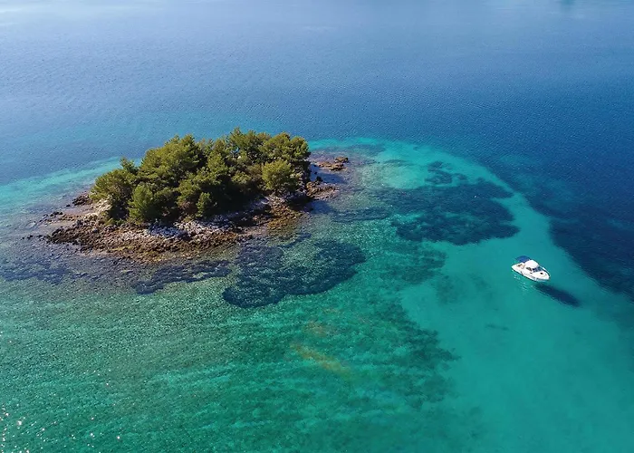 Awesome In Stankovic With Wifi